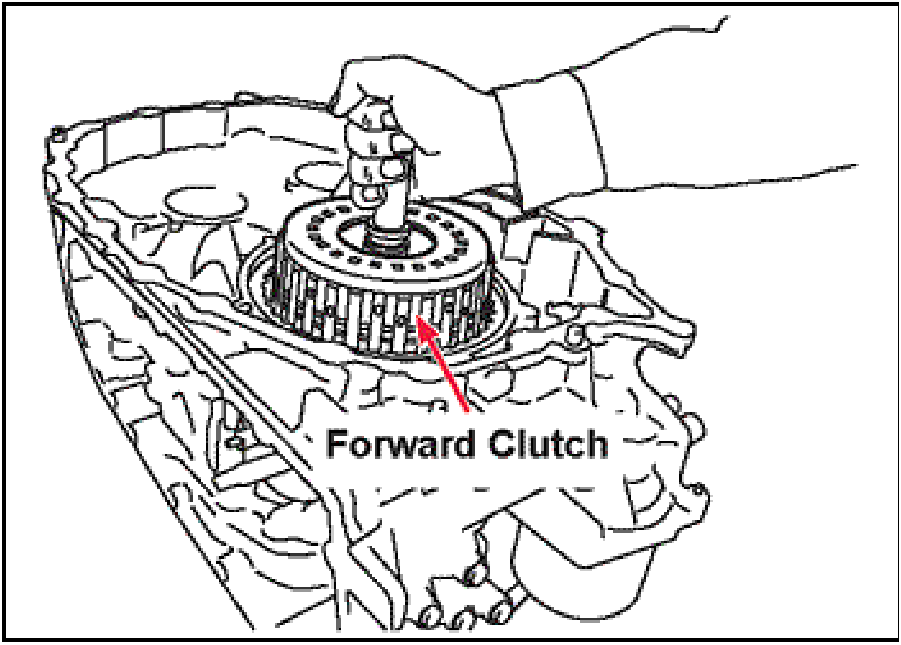 520065657_graphic-text218